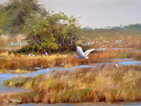 Florida Everglades and Wildlife Digital download