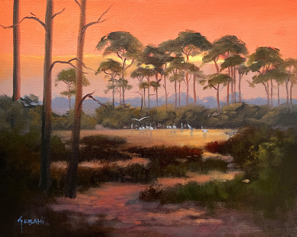 Florida Marsh at Dawn