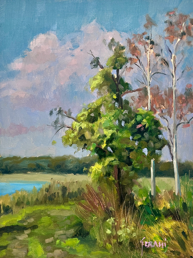 Dyer Park Trail, Florida