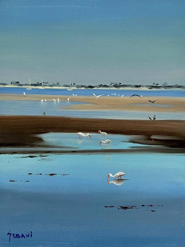 Coastal Seascape and Ibis Art Print - Art Print