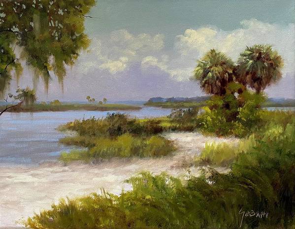Florida Backcountry Marshland Art Print - Art Print