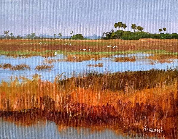 Florida Everglades Wetland Marsh Landscape - Art Print