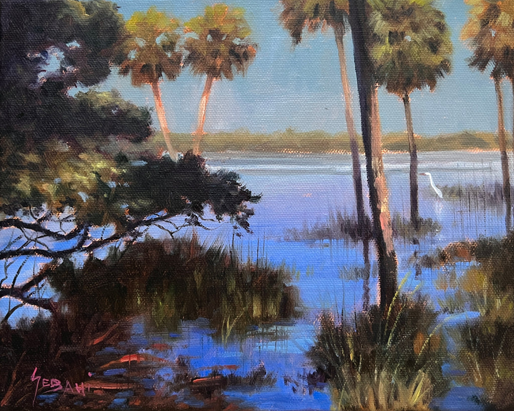 Florida Wetlands and Palms Landscape. Original!