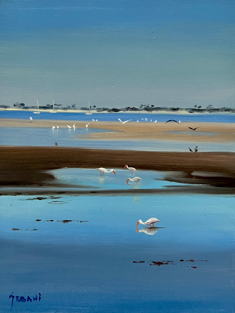 Coastal Seaside and Ibis . Original!