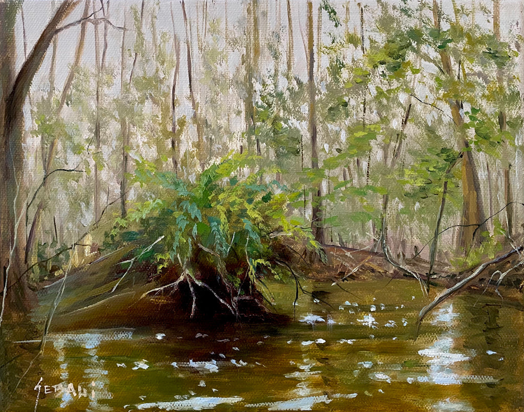 Florida Cypress Wetlands Landscape painting. Original