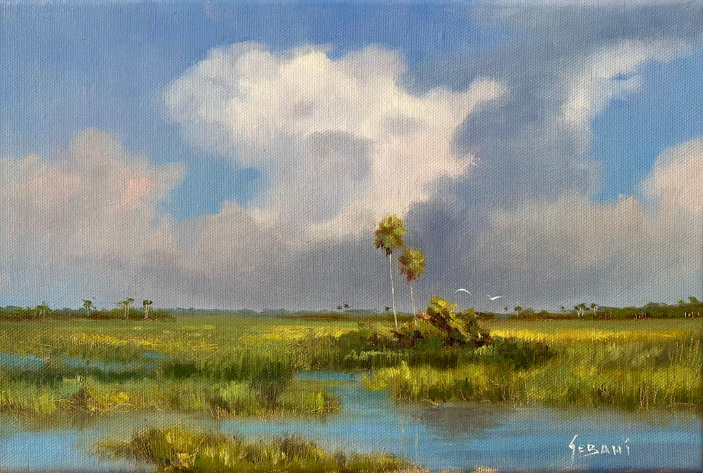 Florida Backcountry Landscape. Original!