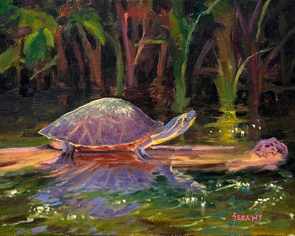 Riverbend Turtle Sunbathing