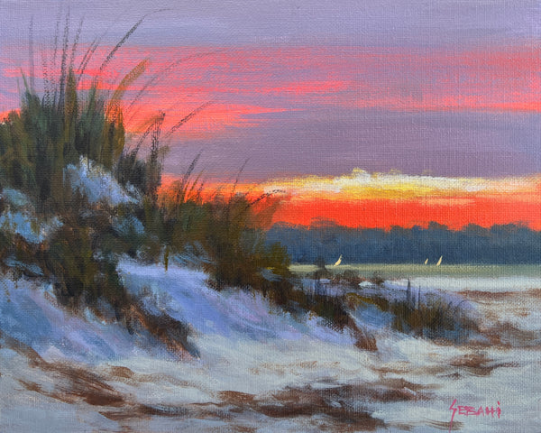 Coastal Sand Dunes at Sunset
