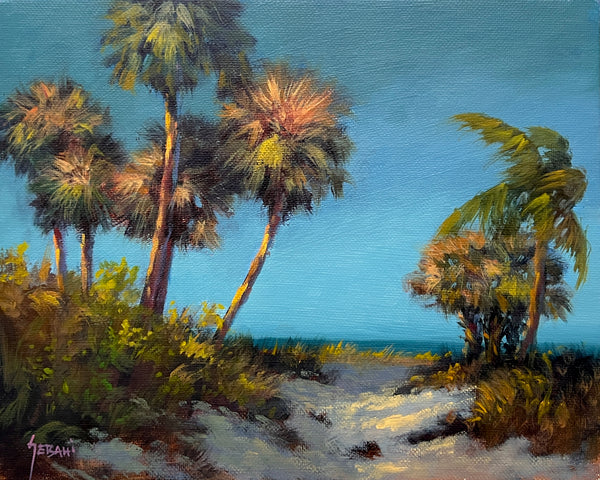 Sunlit Beach Path