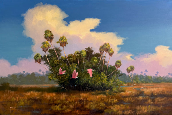 Spoonbills in the Glades