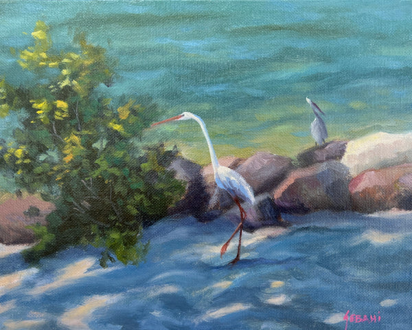 Egret at Jupiter Inlet