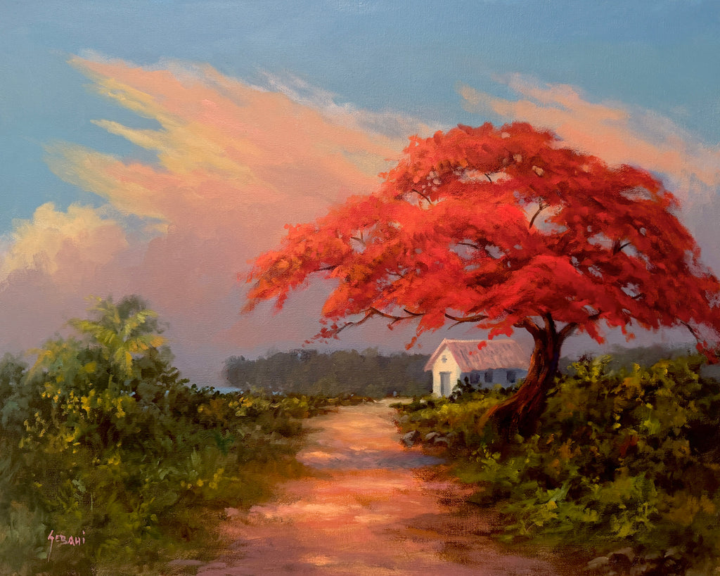 Poinciana by the Sea