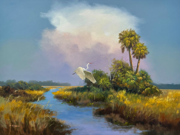 Florida Everglades and Egret