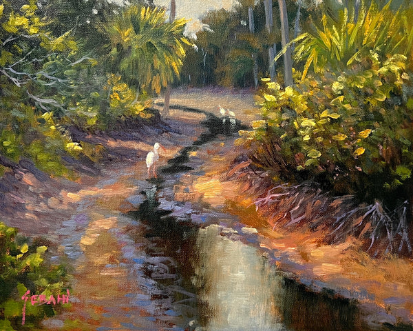 Riverbend Park Creek