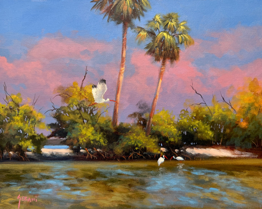 Florida Coastal Mangroves and Ibis