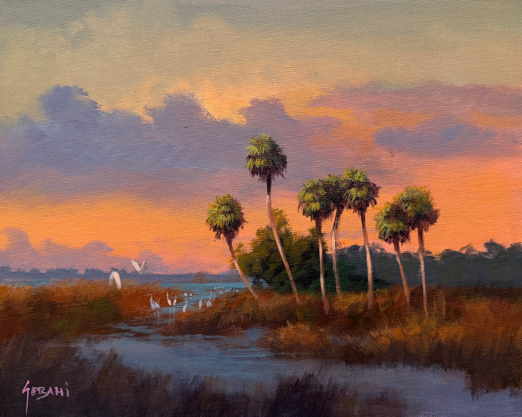 Sun Setting in the Florida Marsh