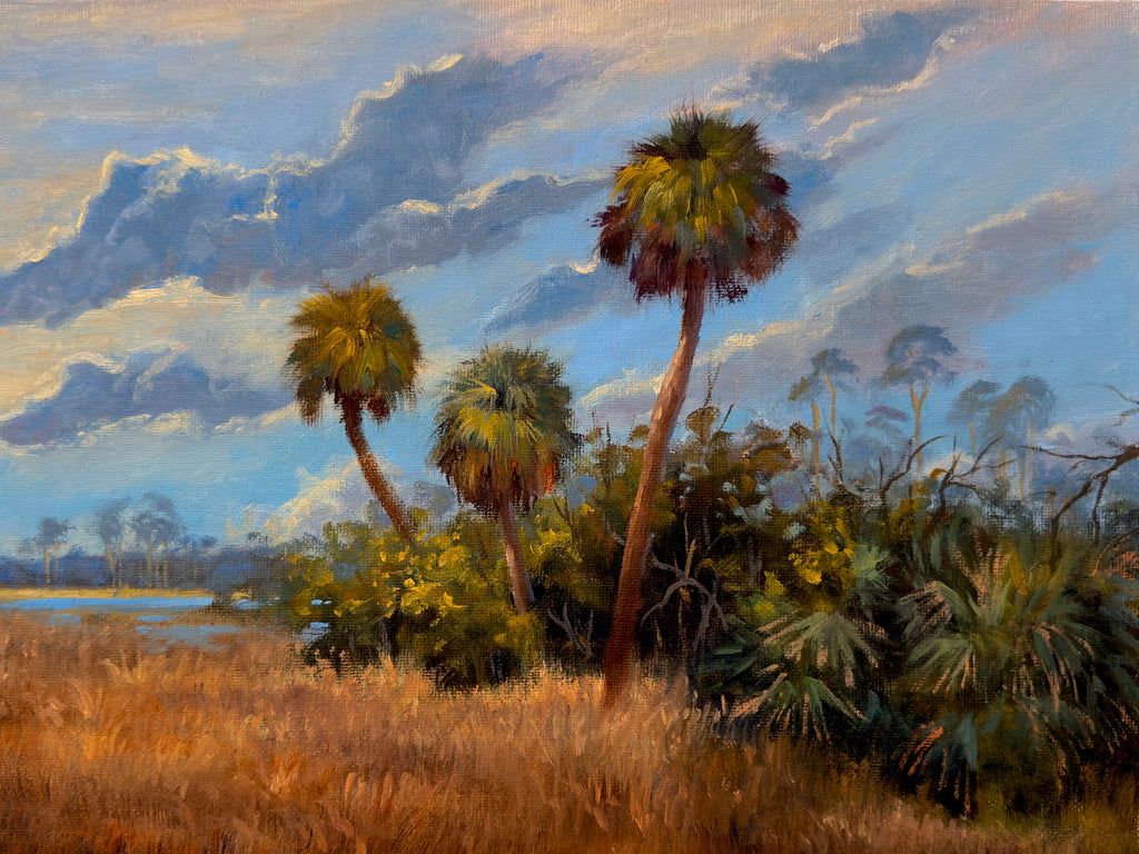 Everglades at Dawn