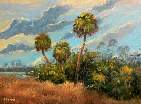 Florida Grasslands