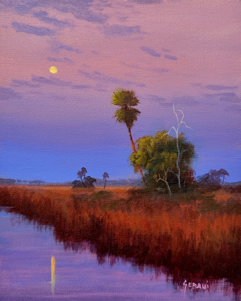 Everglades Moonlight