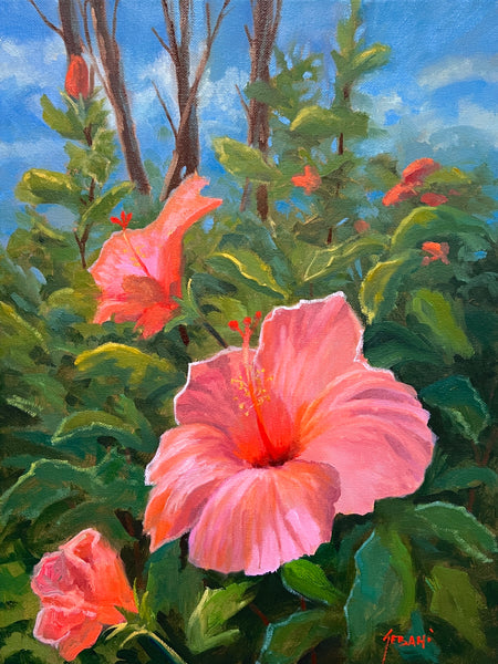 Pink Hibiscus