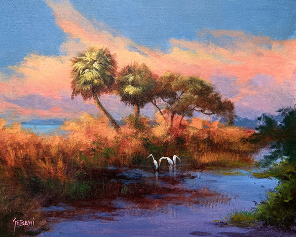 Sunset in the Florida Marsh