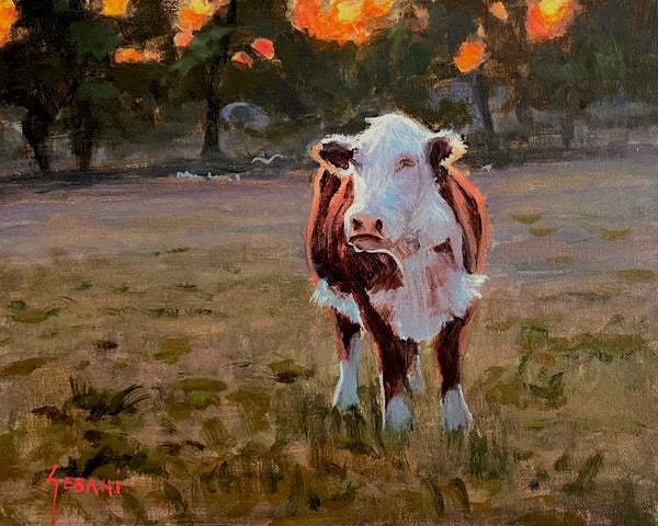 Cow in Pasture