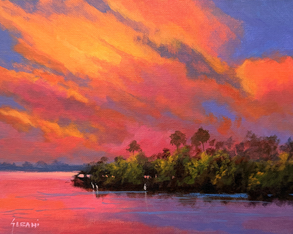 Fire in the Sky Florida