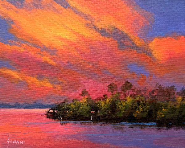 Fire in the Sky Florida