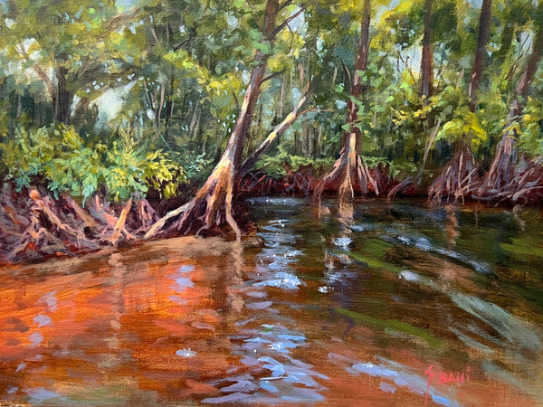 Dapple Light in Shallow water