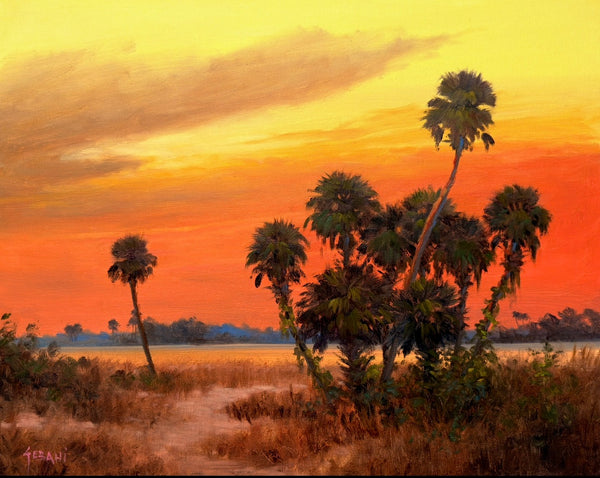 Florida Sunset