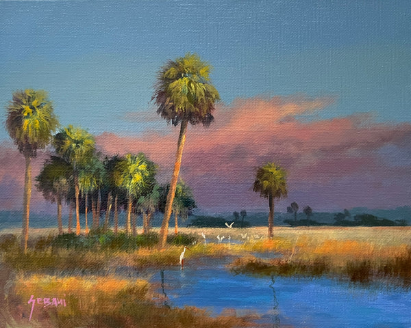 Florida Prairie Landscape