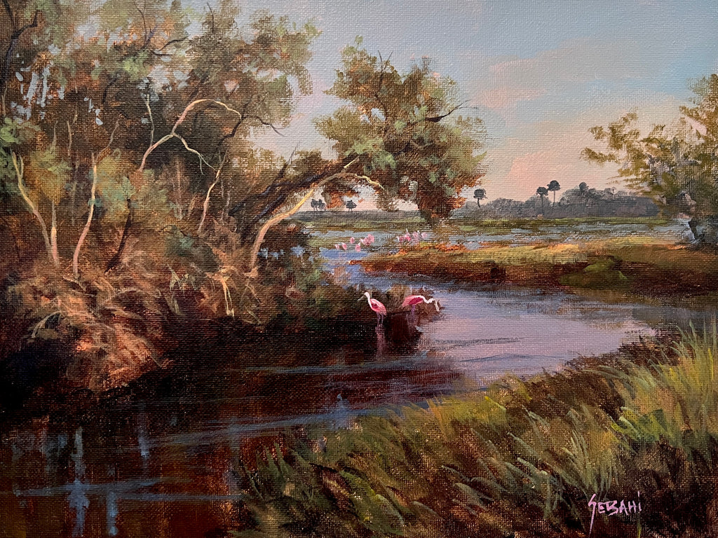 Florida Backcountry and Spoonbills