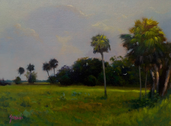 Okeechobee County Florida