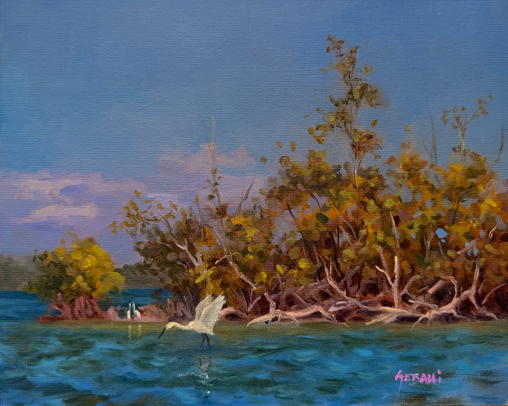 Little Munyon Island, Florida