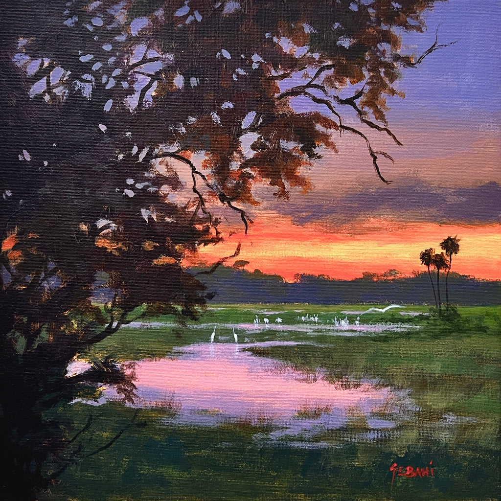 Backcountry Sunset Landscape and Wildlife
