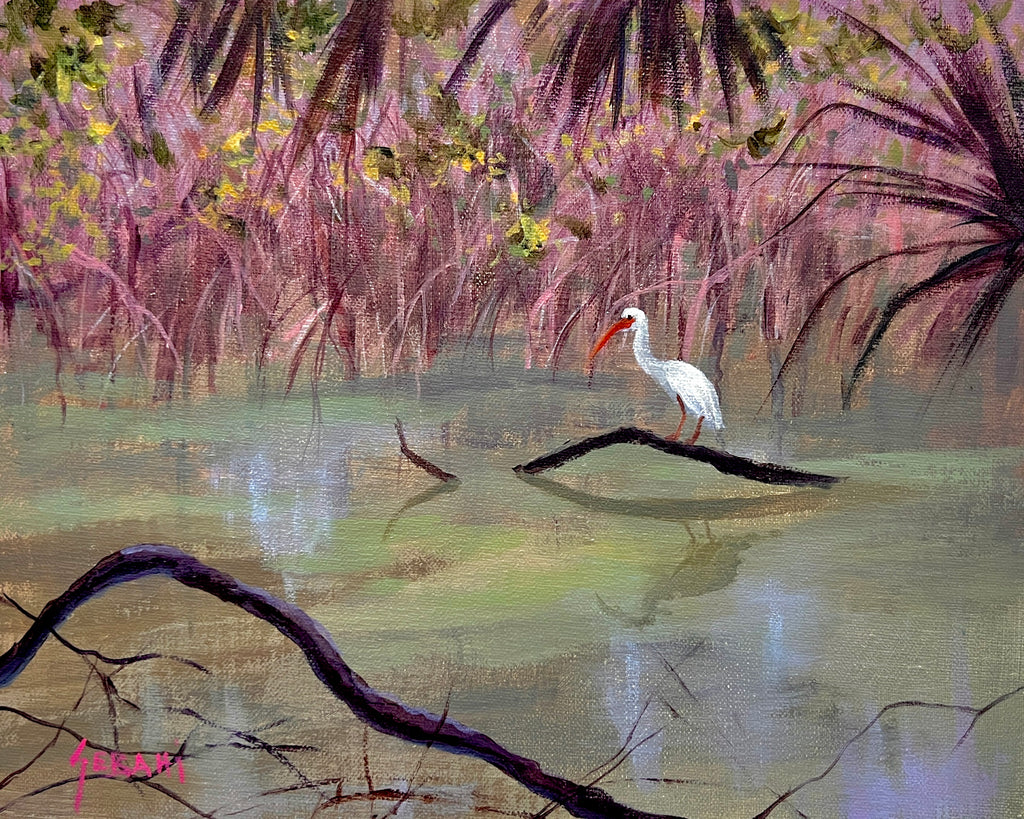 Ibis Perched in the Marsh