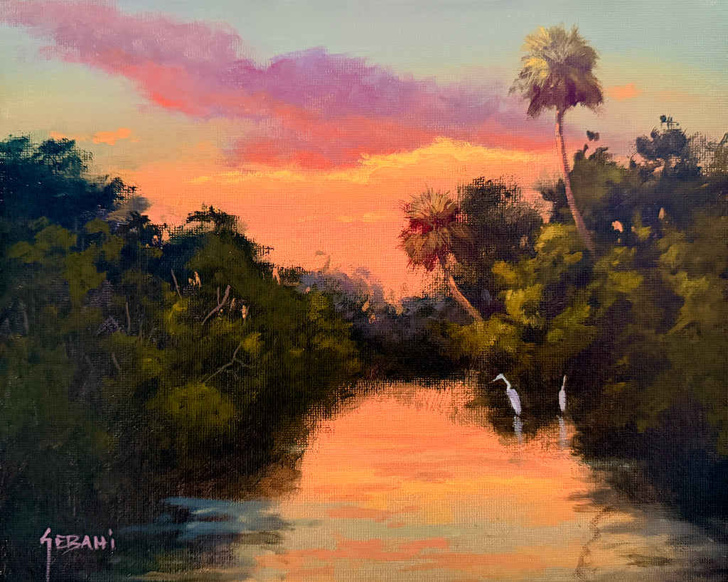 Loxahatchee Florida Susnet