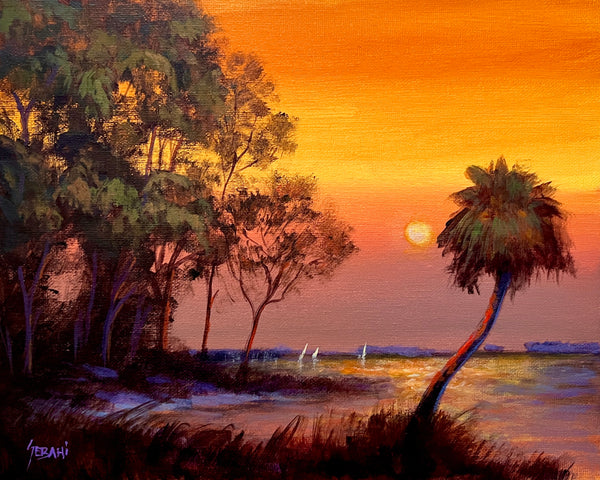 Coastal Sunset and Palm