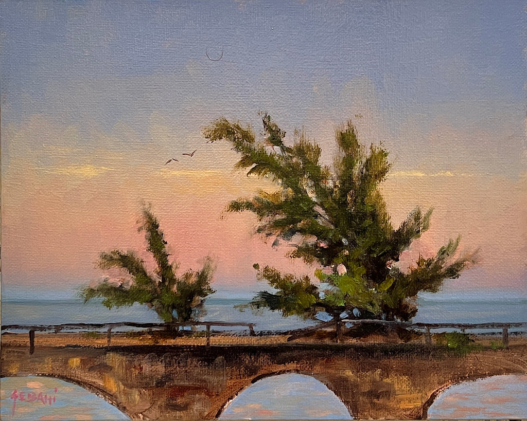 Fred on Seven Mile Bridge Marathon