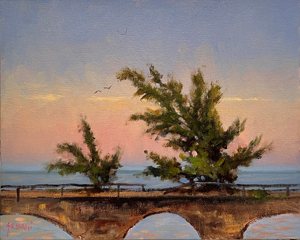 Fred on Seven Mile Bridge Marathon