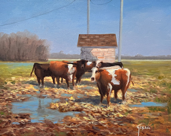 Cows on the Farm