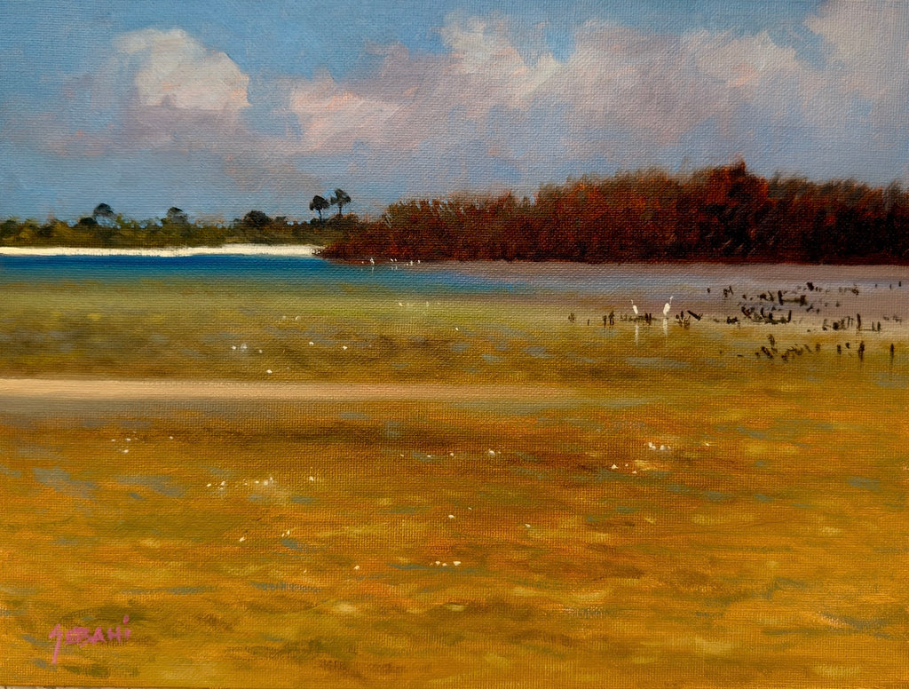 Bunche Beach Fort Myers
