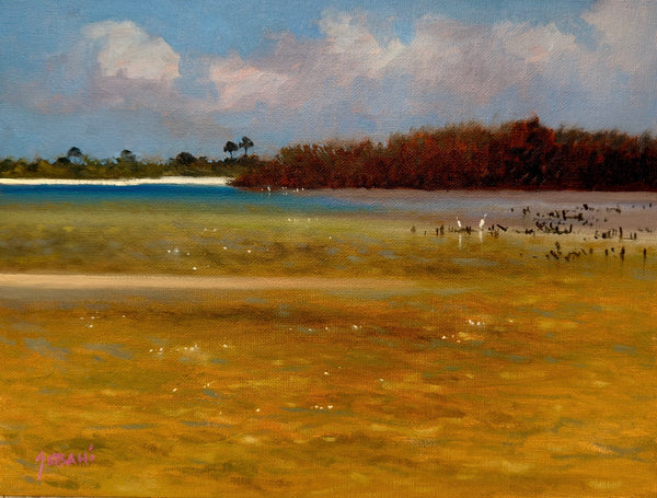 Bunche Beach Fort Myers