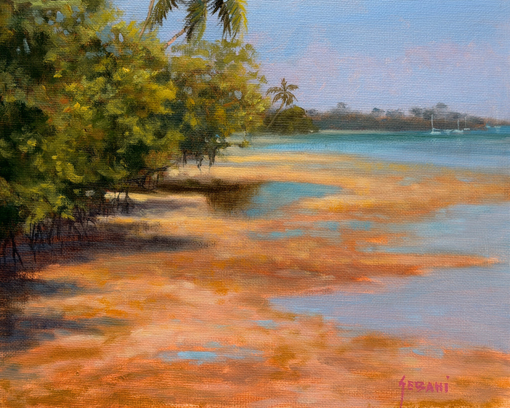 Jupiter Island Florida