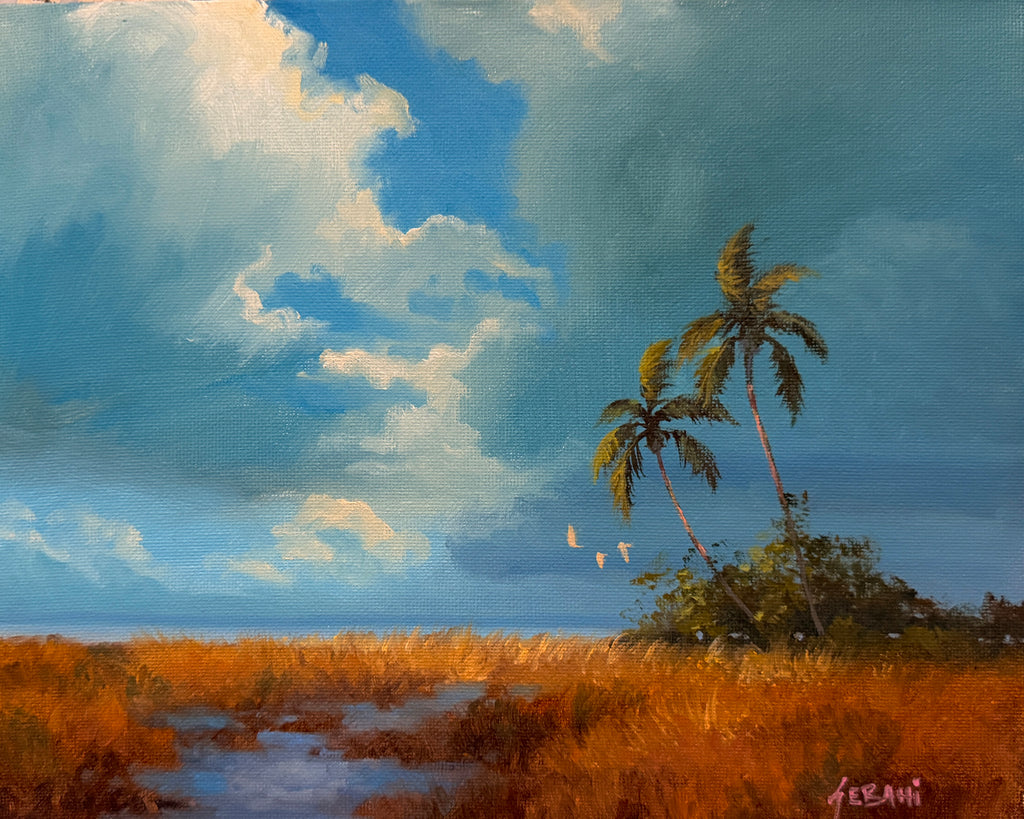 Florida Coastal Marsh