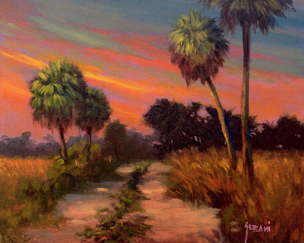 Florida Tropical Path Landscape