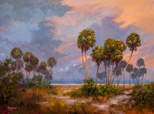 Evening Path in the Glades