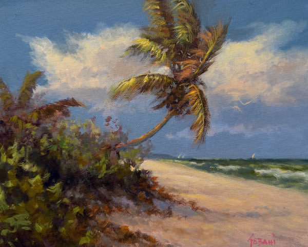 Florida Tropical Sandy Beach