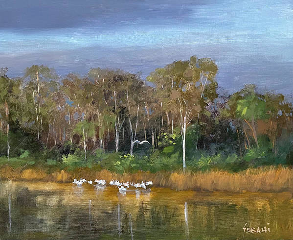 Evening on the Riverbank Florida landscape  - Art Print