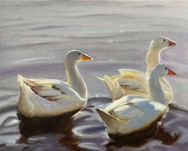 Flock of Geese Wildlife Animal  Portrait  - Art Print